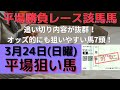 【競馬予想】３月２４日（日曜）平場勝負レース該当馬７レース！追い切り内容も良くオッズ的にも狙いやすい馬！