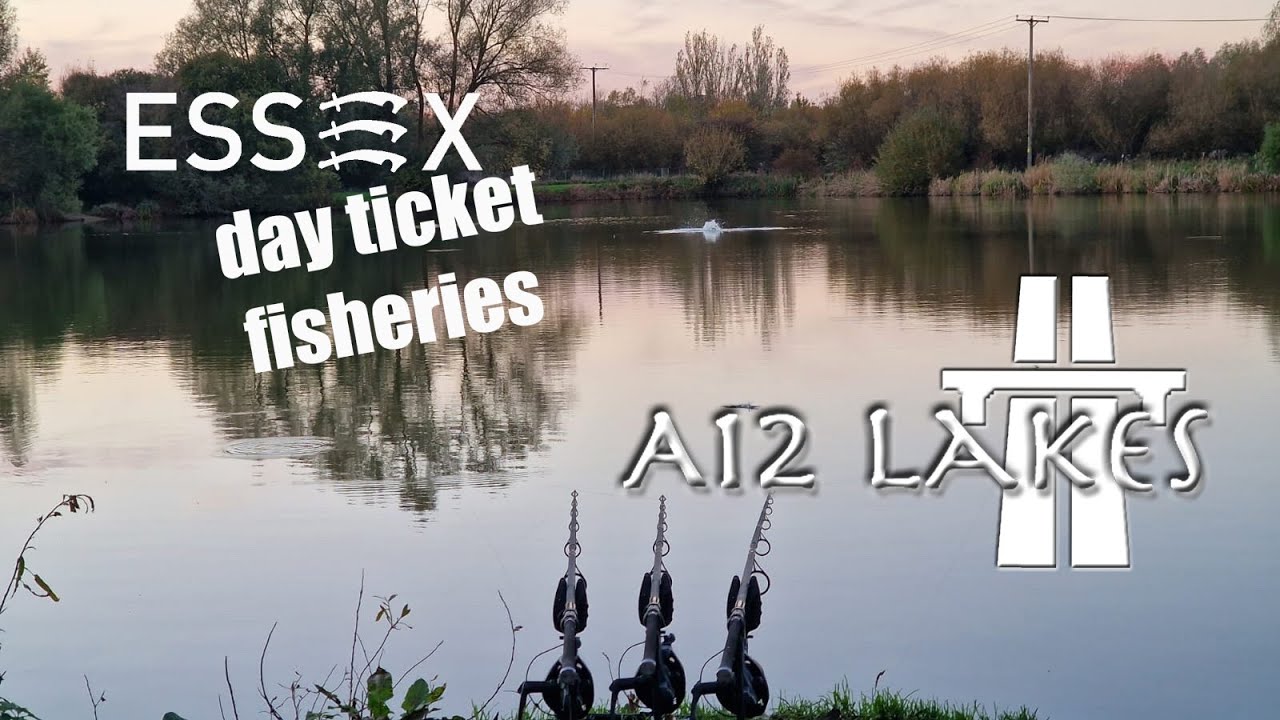 Carp Fishing / Essex Day Tickets A12 Lakes YouTube