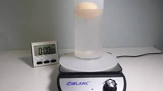 Plastic Egg in Wide Water Column Vortex on Magnetic Stirrer Doesn't Sink Downwards.