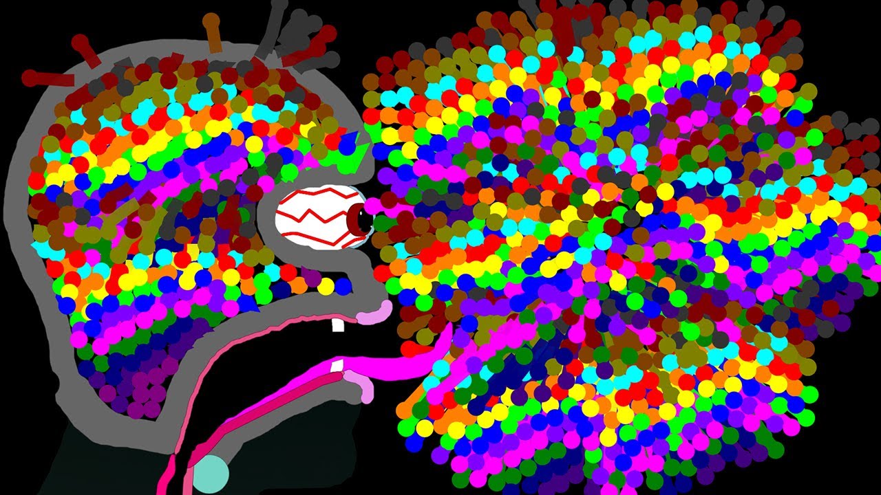 The Crazy Man 6 Legs Eliminations Marble Race in Algodoo