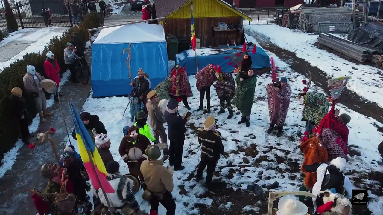 Capra din Cotârgași, Suceava