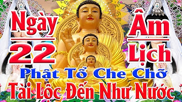 Tối 20 Âm Tụng Kinh Sám Hối Cầu An Người Bệnh Khỏe Mạnh, Hút Năng Lượng Vào Tiền Vô Như Nước !