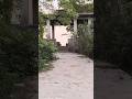 𝕃𝕒𝕤𝕥 𝕋𝕒𝕜 𝔻𝕖𝕜𝕙𝕠 😱 #ghostvlog #explore #ghost #horror