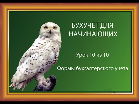 Урок 10: Формы бухгалтерского учета.