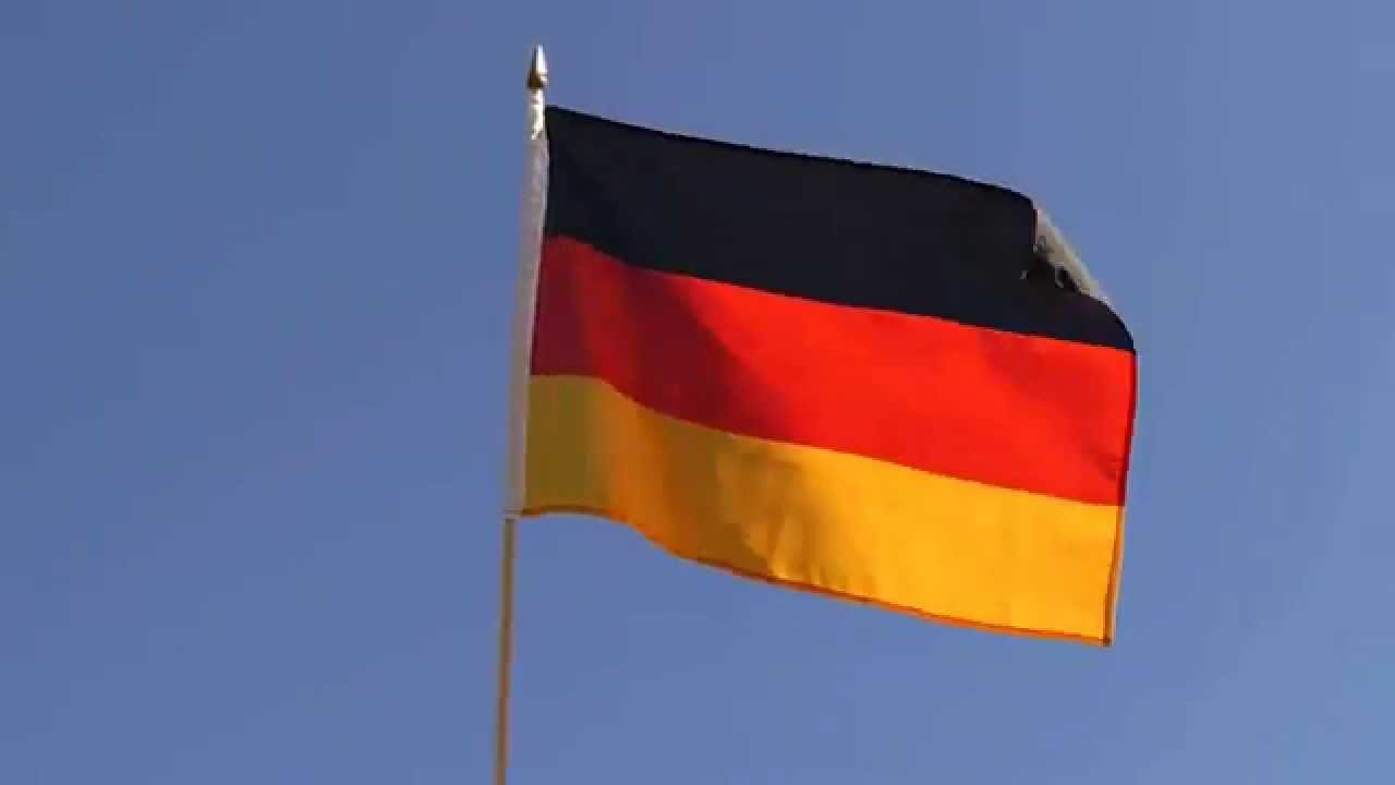 Stockflagge Deutschland mit Friedenstaube Fahne Flagge 30 x 45 cm