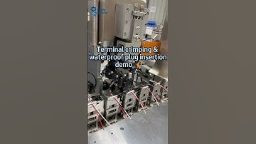Automatic Terminal Crimping + Waterproof Plug Insertion #machine#terminalcrimpingmachine