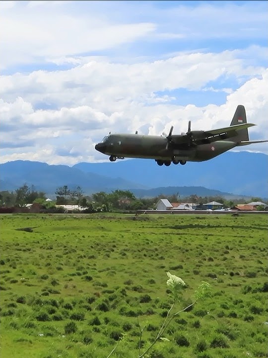 Pesawat Hercules TNI AU Landing Bandara Wamena Papua