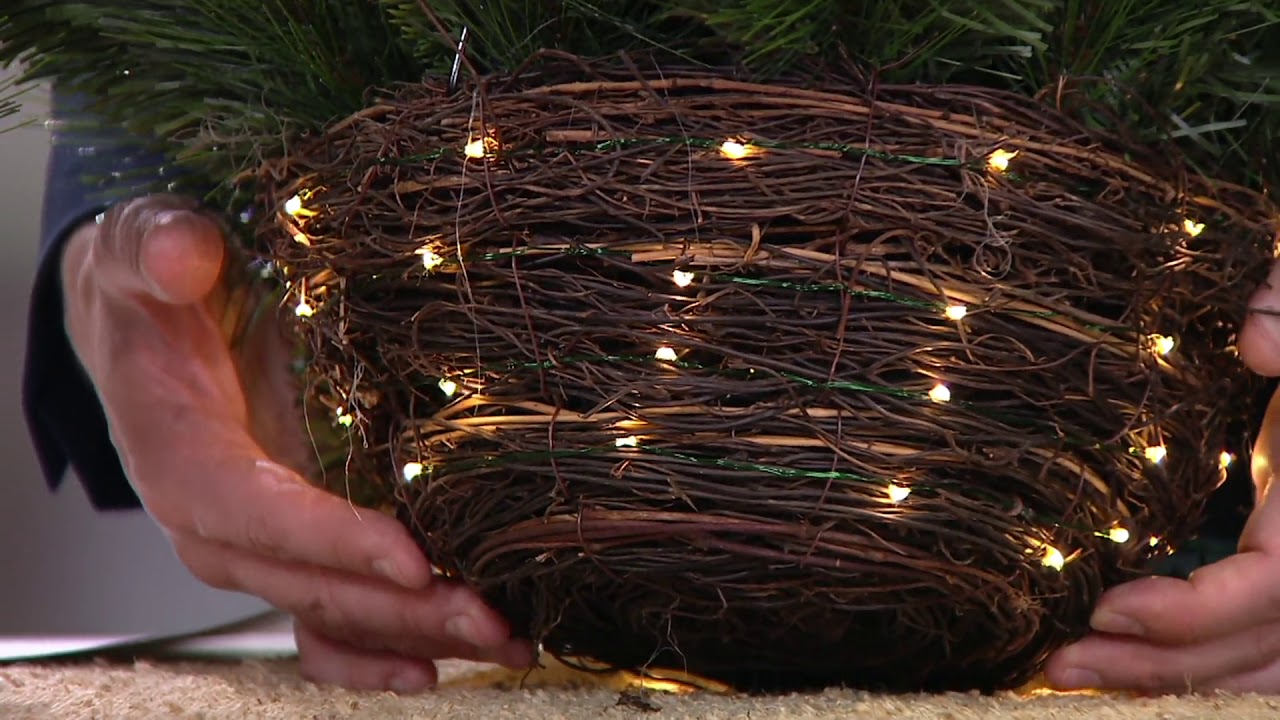 Scott Living Lit Rattan Holiday Greens Hanging Basket on QVC YouTube
