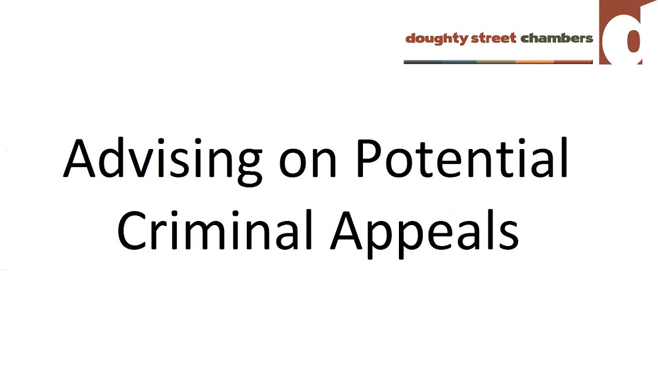 Advising on Potential Criminal Appeals