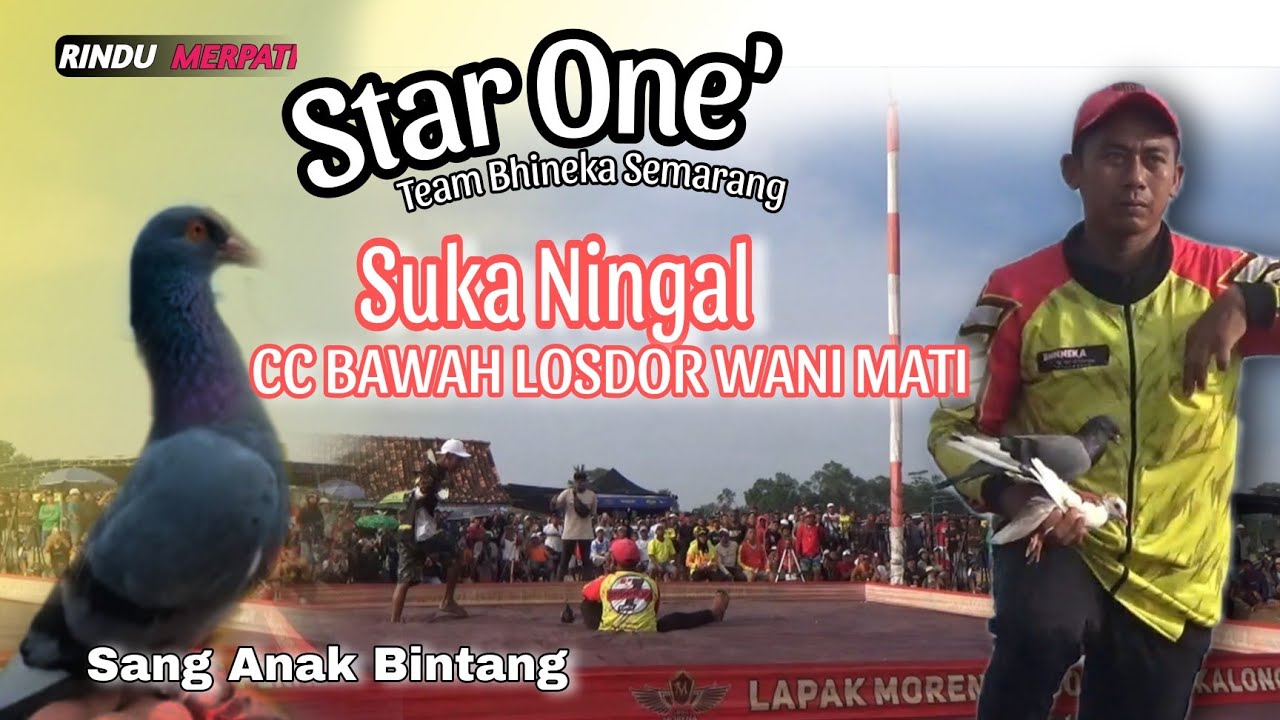 Losdor Awal Sampai Akhir 💥Star One