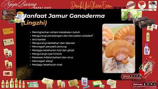 Download Lagu Presentasi Bisnis 111 \u0026 3x7  Shuang Hor MP3