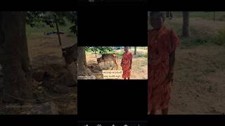 ఆడాళ్లు అనుకుంటే ఊరు మార్తది# cow protection,women