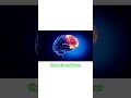 🧠 Explore the Human Brain in Just 45 Seconds!
