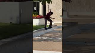Paul Rodriguez - backside 180 nosegrind