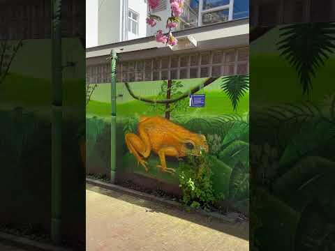 Amsterdam Sakura Blossoms: Hidden Mural in Residential Area