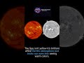 The Sun is white!! #universe #astronomy #cosmos  #spacefacts  😱☀️