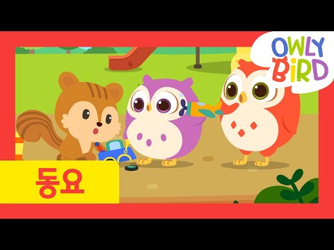 어린이 영어동요 l 오울리버드 인기동요 l Magic Word Sorry | Good Manners Song l 인기동요 l 오울리 버드 Owlybird