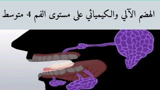 تحولات الأغذية على مستوى الفم ( التحولات التي تطرأ على إحدى مكونات الخبز على مستوى الفم