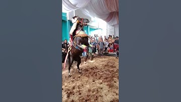 ATRAKSI SILAT SI LEXSI #senibudaya #feedshorts #shorts #kudarenggong