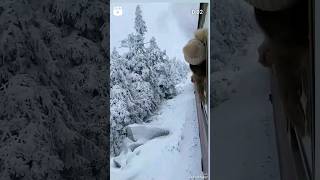 Snow Fall in Kashmir viral viralvideo