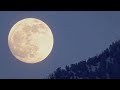 Warum der Mond uns mehr beeinflusst, als du vielleicht glaubst.