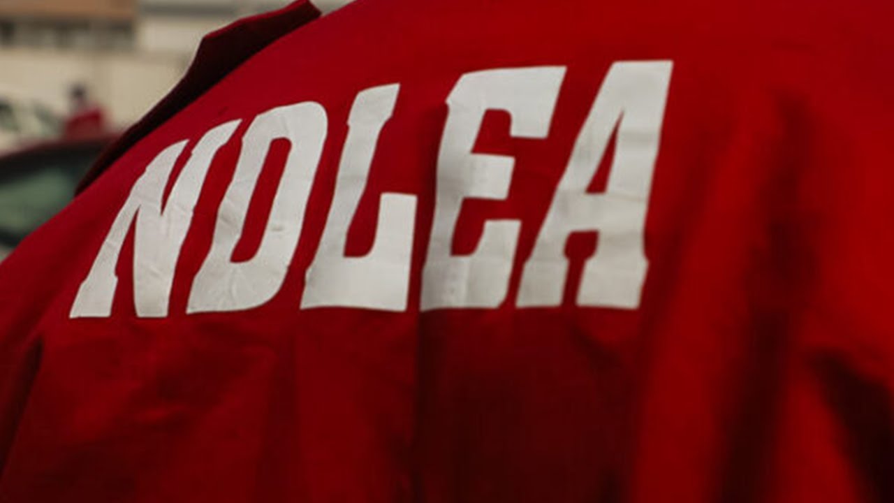 War Against Drug Abuse: Kwara NDLEA Arrests 31 Suspects with 270KG of Dangerous Substances.
