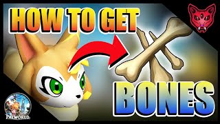 HOW TO GET BONES 🦴 (w. Vixy &amp; more) | Palworld Tutorials