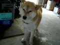 仕事に行きたくない人へ