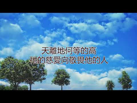 一分鐘金句 -  詩篇第103篇8-13節