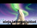 Música para ALEJAR la NEGATIVIDAD y ATRAER lo POSITIVO