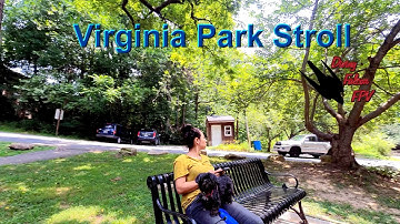 Virgina Park Stroll SMO 4K by BetaFPV 95x V3