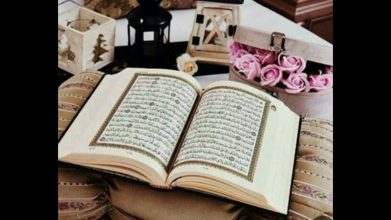 خيرة عامة 🌸🌿|أستخارة العلوية أم مرتضى 🌸🌿