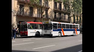 Recreació de les línies 35 i 42 de TMB amb autobusos Pegaso