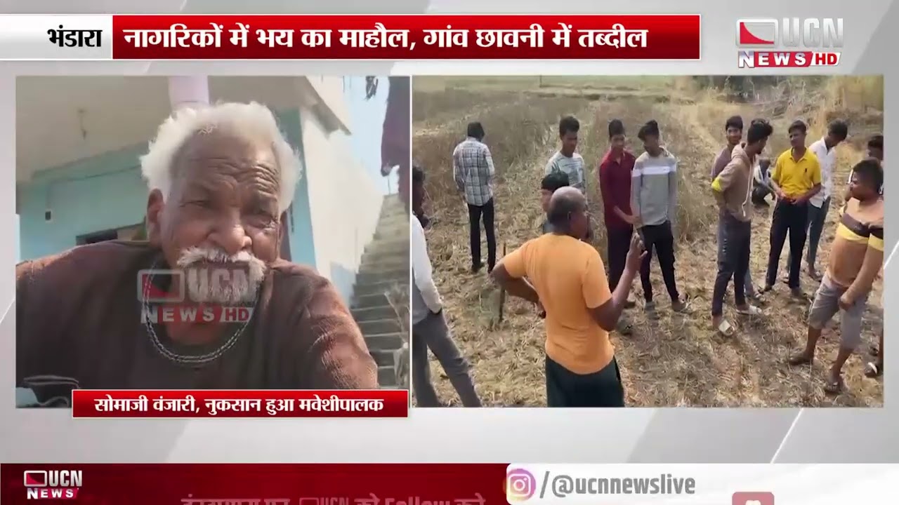 भंडारा : जिले के पेवठा गांव में बाघ का आतंक