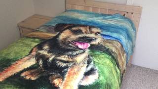 @SilliBorderTerrier Rectangular Fleece Blanket Review