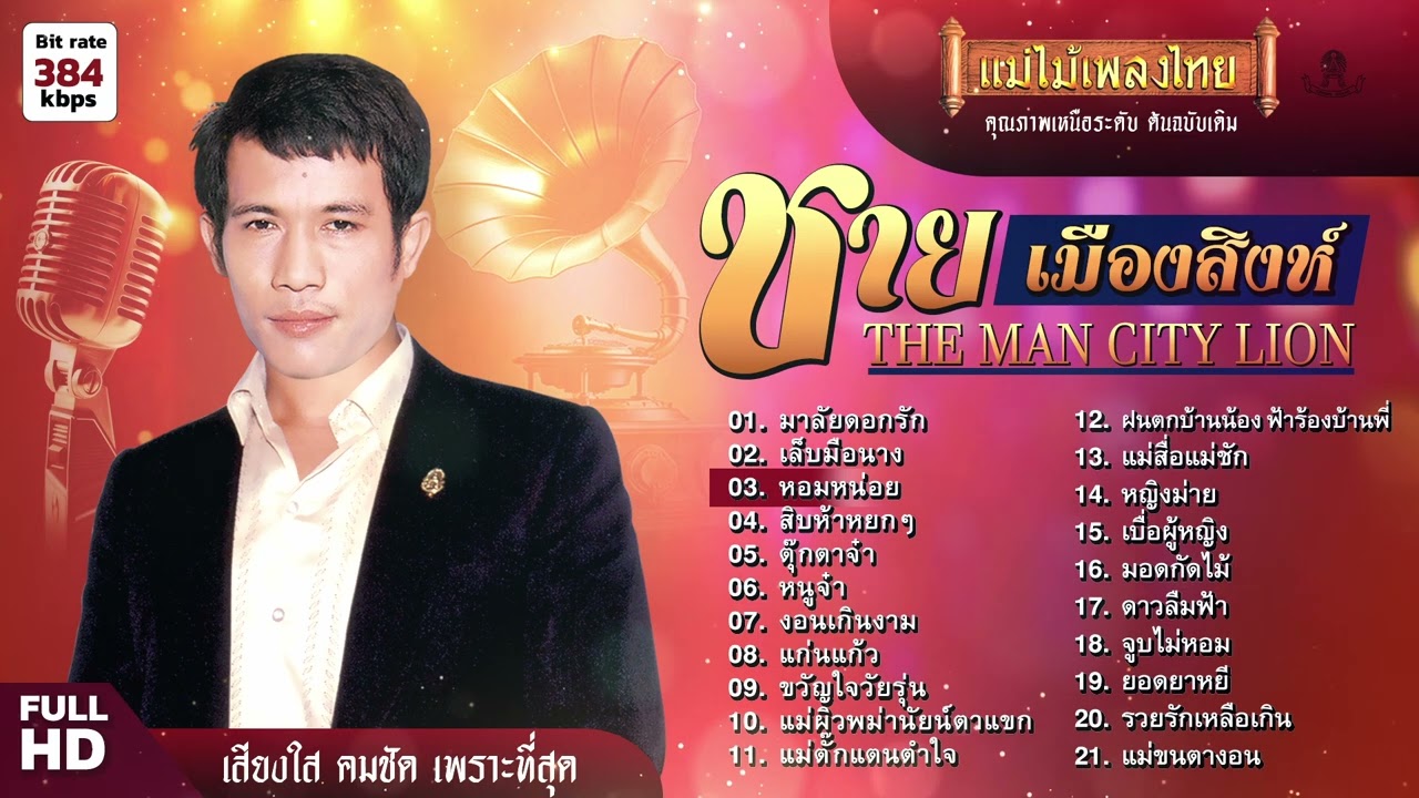รวมเพลงฮิต ชาย เมืองสิงห์ 21 เพลง (เลือกเพลงได้) 