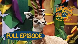 Animal Show | Cheetah 🐆 / Gazelle | Jim Henson Family Hub | Kids Cartoon