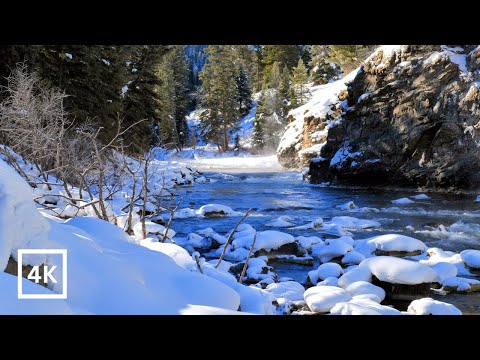 4K Snowy Winter Sunrise Misty Morning Rapids For Study Meditation Nature Sounds White Noise 