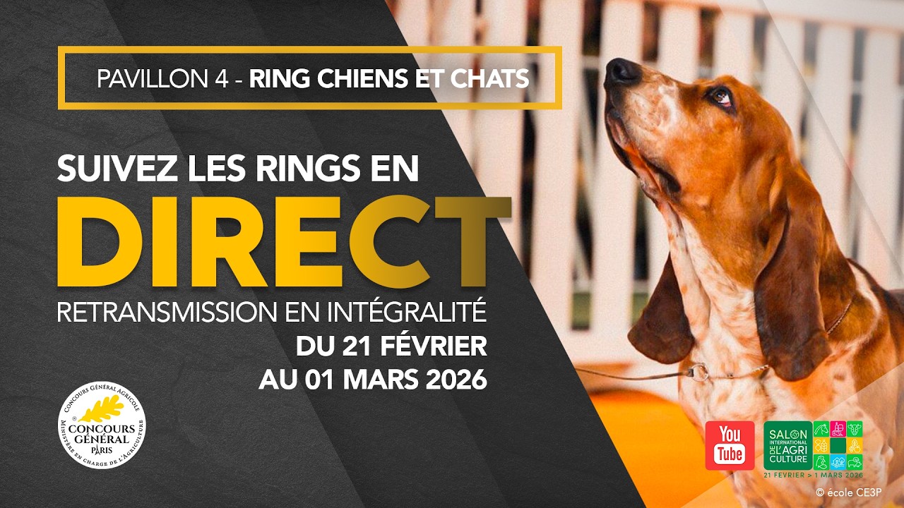 Ring Chiens et Chats 26/02/2026 @salonagriculture