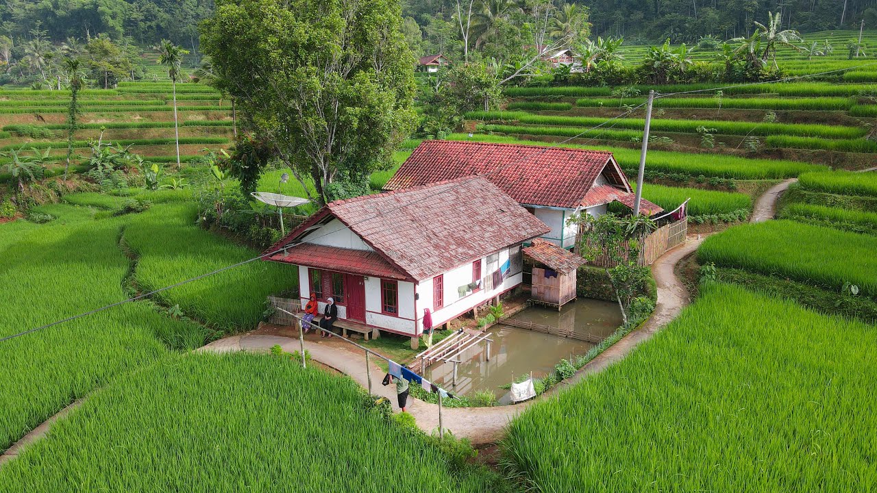 Pasti Sepakat Kampungnya Indah Banget, Ini Namanya Lukisan Pemandangan Alam Pedesaan ~ Tasikmalaya