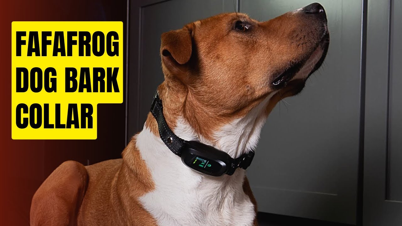 FAFAFROG Dog Bark Collar Review Anti Barking Collar for Large Medium