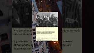 c_Что означал розовый треугольник, направленный вниз в концлагерях  Германии