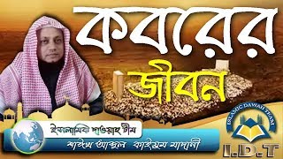 মানুষের কবরের জীবন বা বারজাখের জীবন কেমন হবে ᴴᴰ┇শাঈখ আব্দুল কাইয়ুম মাদানী