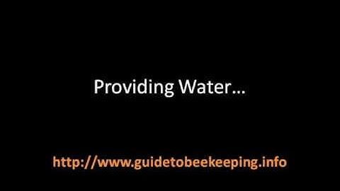 Beekeeping Class - 3 Things That Could Be Done For Backyard Beekeeping