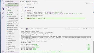 Tiny Python Projects: Ch 1 Pt 8 (adding a main)