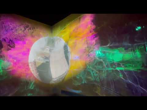 Primordial Immersive Room Video 2 Mills College MFA Exhibition May 2022