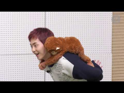 XIUMIN 오랑이 어부바 해주는 시우민