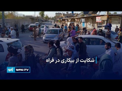 شکایت از بیکاری در فراه