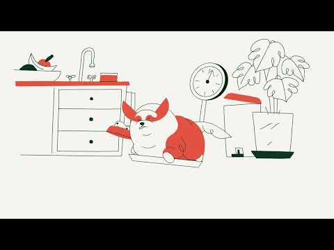 THE FARMER'S DOG YouTube ad: Weight 15s 16x9 YT 50pc