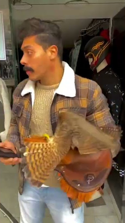 Eagles Lovers | Mustafa Nabaway | itx Xhorts